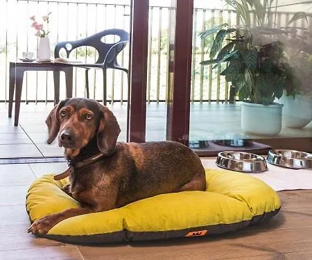 Villaverde Spa&golf Udine Hotel