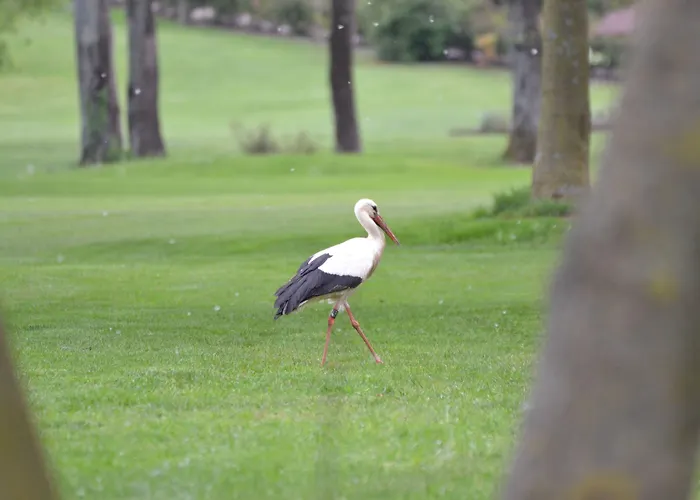 Hotel Villaverde Spa&golf Udine