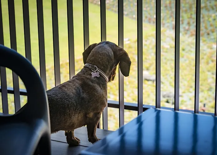 Villaverde Spa&golf Udine